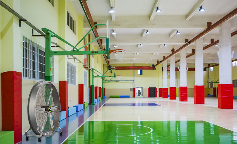 Gymnasiums